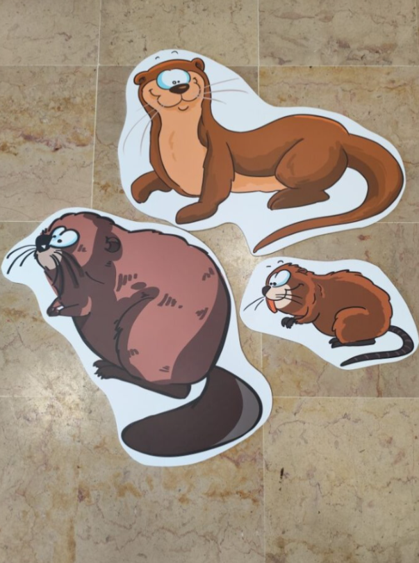 Bâche traces et indices de castor